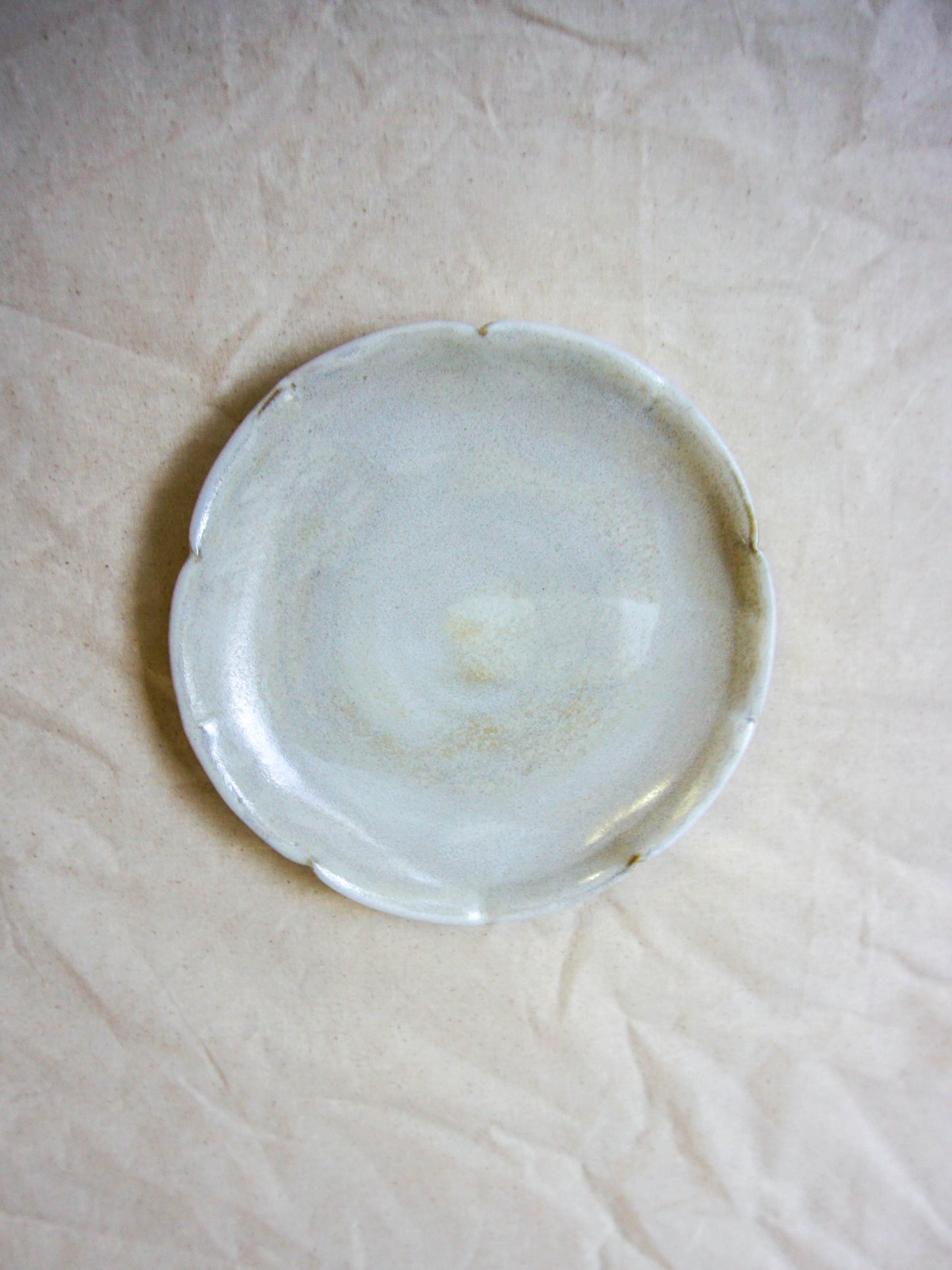 Plato flor