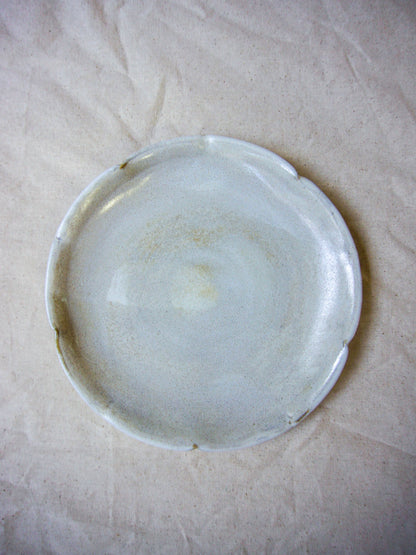 Plato flor