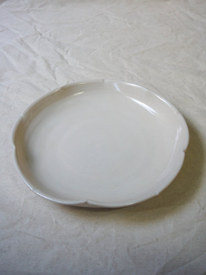 Platón flor