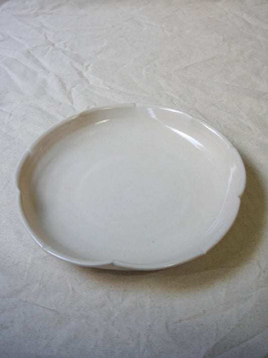 Platón flor